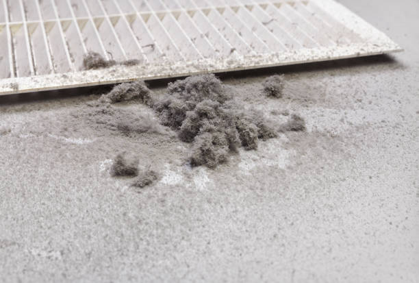 Best HVAC Duct Inspection Services  in Stockbridge, MI
