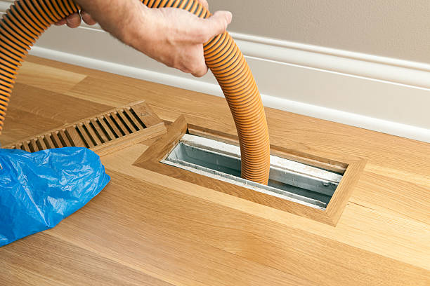 Best Professional Duct Cleaning Services  in Stockbridge, MI