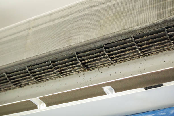 Best Commercial Air Duct Cleaning  in Stockbridge, MI