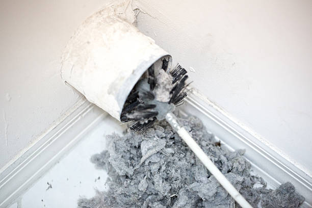 Best Emergency Air Duct Cleaning  in Stockbridge, MI